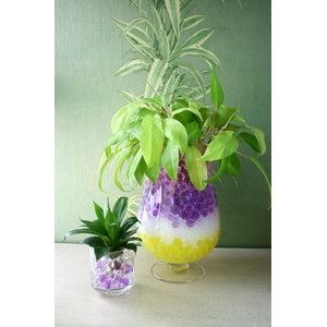 �C���e���A�Ƃ��Ă��Y�� �V�����^�̋z���[���[�h�N���X�^������[�h 8�F�~10g�Z�b�g