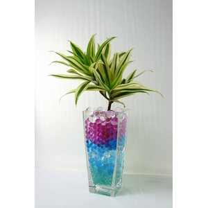 �C���e���A�Ƃ��Ă��Y�� �V�����^�̋z���[���[�h�N���X�^������[�h 8�F�~10g�Z�b�g