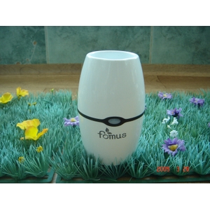 �����g���u���V���� �|���X(FOMUS)