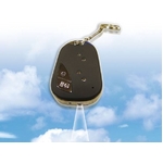 小型カメラ【2010春モデル】 カーリモコン型ビデオレコーダー 8GB対応【VGA/130万画素】