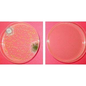 脱臭除菌剤ダッシュル ハンドスプレータイプ500ml×3本組