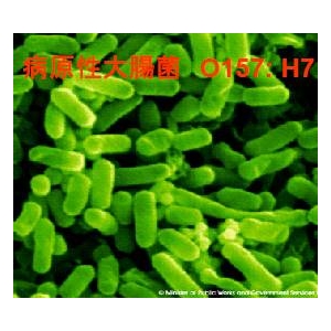 脱臭除菌剤ダッシュル ハンドスプレータイプ500ml×3本組