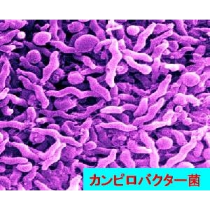 脱臭除菌剤ダッシュル ハンドスプレータイプ500ml×3本組