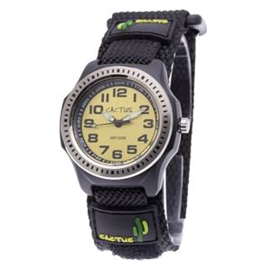 CACTUS�i�J�N�^�X�j �L�b�Y�E�H�b�` CAC-45-M10