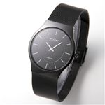 SKAGEN チタニウム メンズ　ウォッチ