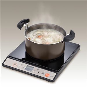 真空保温調理器/両手調理鍋 【3〜5人用 ブラック】 2.8L 200V電磁調理器対応 ふっ素コーティング加工 『THERMOS サーモス』