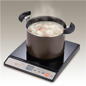 真空保温調理器/両手調理鍋 【4〜6人用 ブラック】 4.3L 200V電磁調理器対応 ふっ素コーティング加工 『THERMOS サーモス』