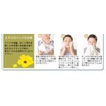�����ɥ����󥱥� ���ʪ�쥽���� P.VER  �ڤؤ������饽���ס� ������3�ĥ��å�!