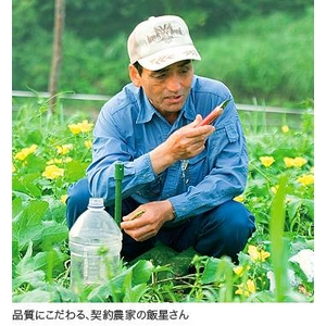 自然派スキンケア 水粧物語ソープ P.VER 【へちま洗顔ソープ】 お得な3個セット!