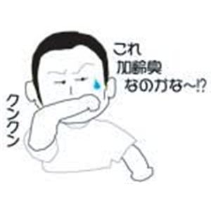  デオル クルーネックTシャツ 白 Mサイズ