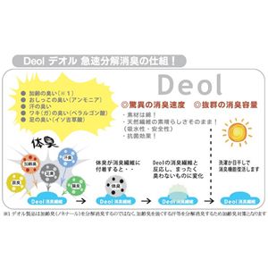  Deol(デオル) レギュラーソックス 女性用 紺