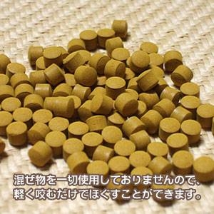 �E�R���O���u �։H�_�� �H�E�R��