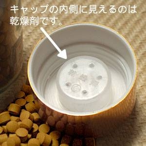 �E�R���O���u �������E�� ���A�H�E�R��
