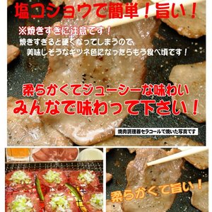 肉屋のプロがオススメ☆大評判!牛タンスライス500g!レモン果汁プレゼント付き!
