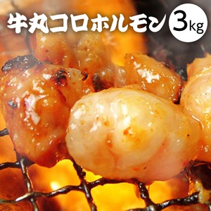 牛丸コロホルモン♪どっさり3kg 30人前!!
