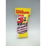 WilsoniEB\j Np J[\bNX 21`24cm 3Zbg zCg