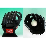 y2010Nfz Rawlingsi[OXj ʗpO[u AbNXEhQXf ubN(90) Ep 摜P