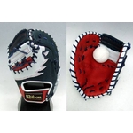 WilsoniEC\j p t@[Xg~bg bh~lCr[ p 摜P