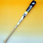 2010Nf SSKiGXGXPCj ؐg[jOobg w[O`vTRAININGx zCgDGRi1059j zCgDGR 85cm~1000g 摜P