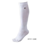 2010Nf ZETTi[bgj 5{w3P\bNX zCg L(25`28cm) y3Zbgz