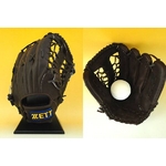 ZETTi[bgj 2010Nf wOXe[^XxO[u Op uE(3700) Ep