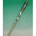 2010Nf SSKiGXGXPCj ؐNg[jOpobgwLeagueChampx {mf S[h 80cm~800g 摜P
