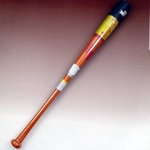 2010Nf SSKiGXGXPCj ؐg[jOobg w[O`vTRAININGx IWYEL 85cm~1000g 摜P