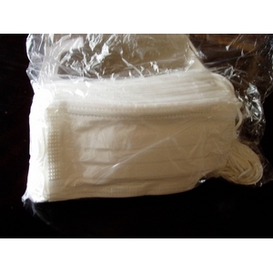 �yBFE99%�ȏ�z�č��l���\���������F���3�w�s�D�z�}�X�N�uEARLOOP�v 2000������