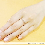 Beji(�x�W) �`elegant style series�` hope/�����O 7�� tj200909001be�@K10�z���C�g�S�[���h