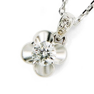 Beji(xW) flowers/18_ClbNX zCgS[h 