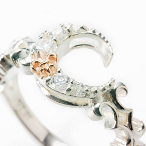 Arpege(アルページュ) STARRY NIGHT/リング月【シルバー925】 9号