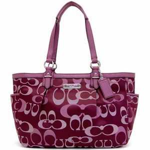 COACH(コーチ) OUTLET コーチ ギャラリーオプティックシグネチャー トート/トートバッグ F20444SV/BX
