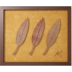 saA[gt[tAGLAONEMA(AOIl})/`a߁ka̘Vܐ쓇l