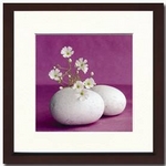 sA[gt[tAmelie Vuillon(AEC)/ Galets et fleurs blanches