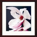 sA[gt[tAmelie Vuillon(AEC) / Magnolia
