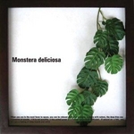 《リーフパネル》Monstera deliciosa(モンステラ デリシオサ) タイプ19 【サイズ 325x325x20mm】