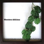 s[tpltMonstera deliciosa(Xe fVIT) ^Cv19 yTCY 325x325x20mmz