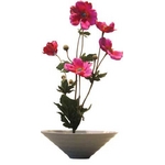 sԁEԕrtF-style vase Anemone(All)