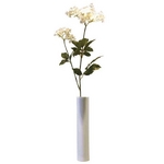 sԁEԕrtF-style vase Queen anne's Lace(NC[AYE[X(mjW))