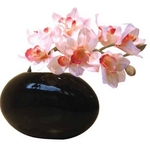 sԁEԕrtF-style vase Cymbidium(VrWE)