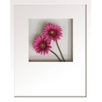 st[t[tHana concept frame Gerbera/rose(K[x/[Y)