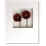 st[t[tHana concept frame Gerbera/wine(K[x/C)