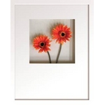 st[t[tHana concept frame Gerbera/orangered(K[x/IWbh)