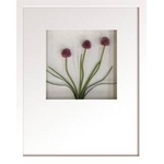 st[t[tHana concept frame Allium/red(AE/bh)