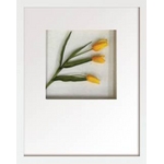 st[t[tHana concept frame Tulip/yellow(`[bv/CG[)