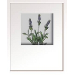 st[t[tHana concept frame Lavender(x_[)