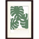 sA[gt[tkaori kurakazu/Monstera(Xe)