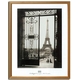 �s�A�[�g�t���[���tGall / The Effel Tower from the Trocadero