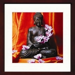 sA[gt[tStephane de Bourgies / Buddaha fleuri