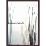 sA[gt[tWall Plants No.4